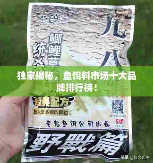 独家揭秘,鱼饵料市场十大品牌排行榜!