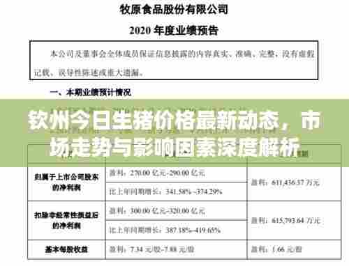 钦州今日生猪价格最新动态,市场走势与影响因素深度解析