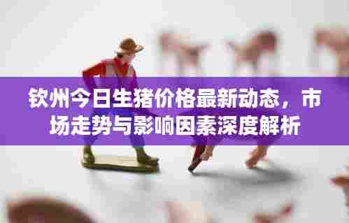 钦州今日生猪价格最新动态,市场走势与影响因素深度解析