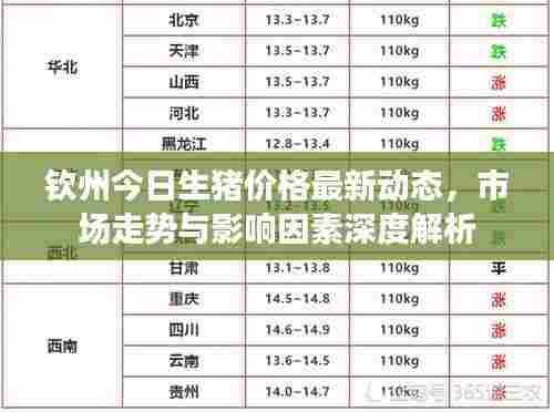 钦州今日生猪价格最新动态,市场走势与影响因素深度解析