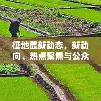 征地最新动态,新动向、热点聚焦与公众关注
