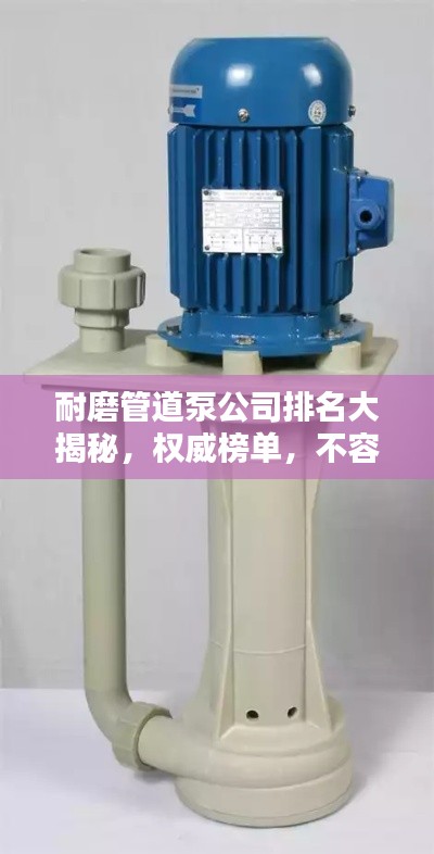 耐磨管道泵公司排名大揭秘，权威榜单，不容错过！