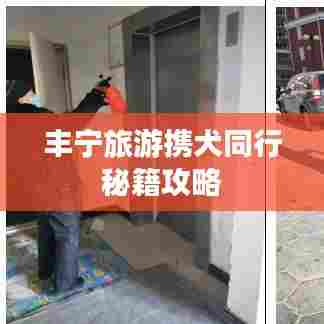 丰宁旅游携犬同行秘籍攻略