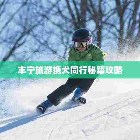 丰宁旅游携犬同行秘籍攻略