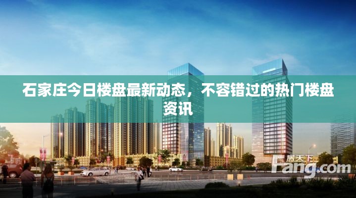 石家庄今日楼盘最新动态,不容错过的热门楼盘资讯
