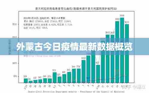 外蒙古今日疫情最新数据概览