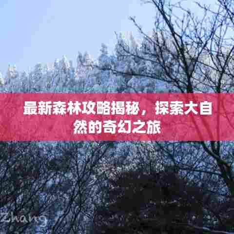 最新森林攻略揭秘，探索大自然的奇幻之旅