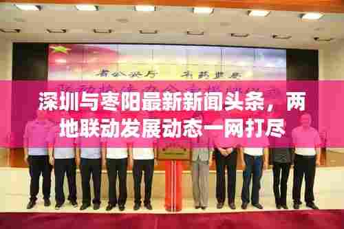 深圳与枣阳最新新闻头条,两地联动发展动态一网打尽