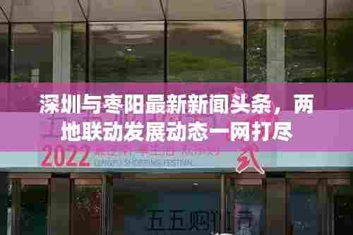 深圳与枣阳最新新闻头条,两地联动发展动态一网打尽
