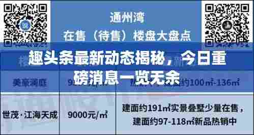 趣头条最新动态揭秘,今日重磅消息一览无余