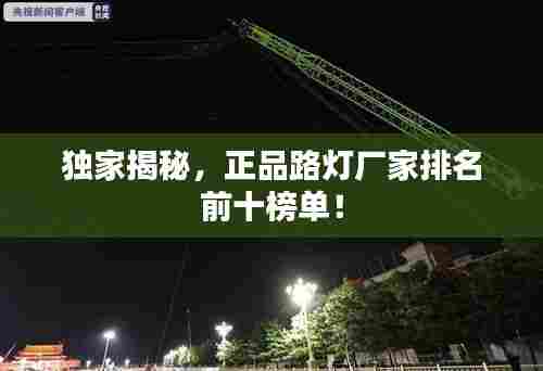 独家揭秘，正品路灯厂家排名前十榜单！
