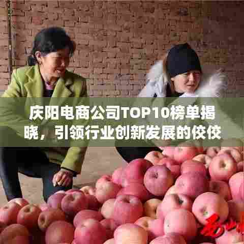 庆阳电商公司TOP10榜单揭晓,引领行业创新发展的佼佼者