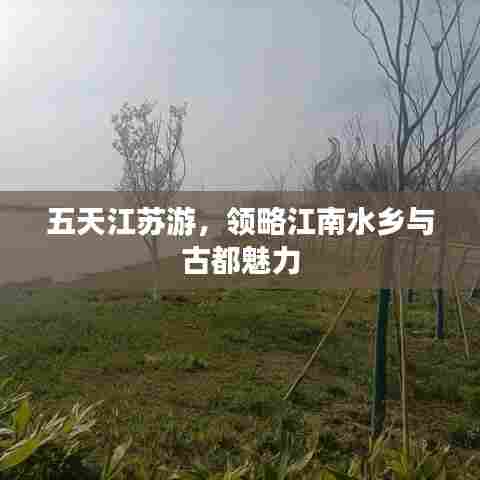 五天江苏游,领略江南水乡与古都魅力