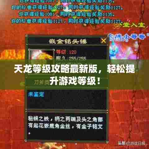 天龙等级攻略最新版,轻松提升游戏等级!