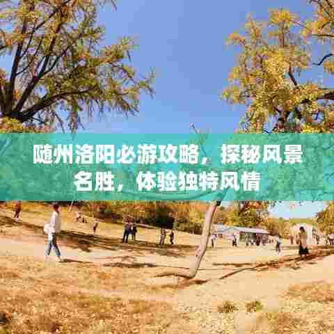 随州洛阳必游攻略,探秘风景名胜,体验独特风情