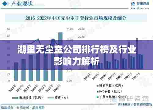湖里无尘室公司排行榜及行业影响力解析