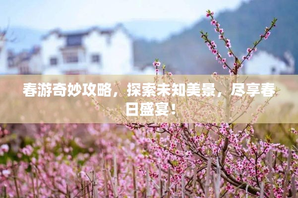 春游奇妙攻略,探索未知美景,尽享春日盛宴!