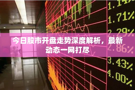 今日股市开盘走势深度解析，最新动态一网打尽