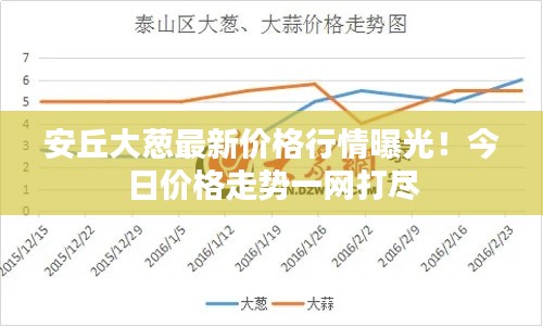 安丘大葱最新价格行情曝光!今日价格走势一网打尽