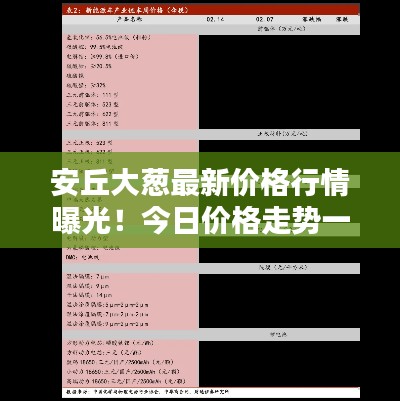 安丘大葱最新价格行情曝光!今日价格走势一网打尽