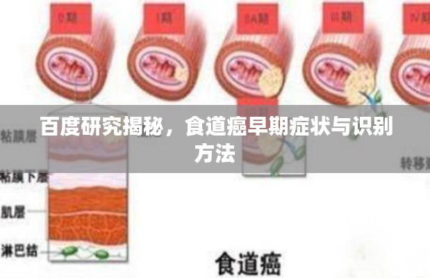 百度研究揭秘,食道癌早期症状与识别方法