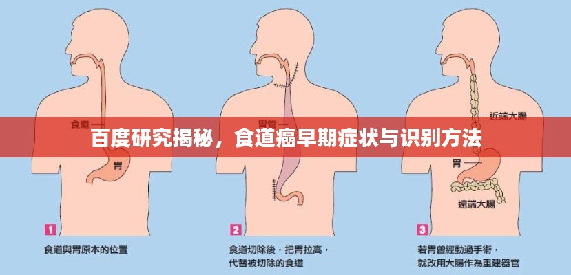 百度研究揭秘，食道癌早期症状与识别方法