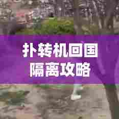 扑转机回国隔离攻略大揭秘,最新指南助你顺利入境