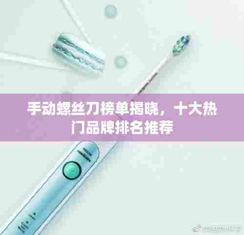 手动螺丝刀榜单揭晓,十大热门品牌排名推荐