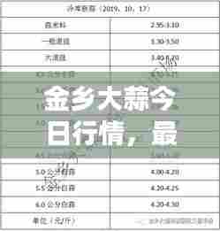 金乡大蒜今日行情，最新价格、市场走势及影响因素深度解析