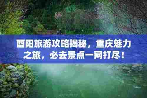 酉阳旅游攻略揭秘,重庆魅力之旅,必去景点一网打尽!