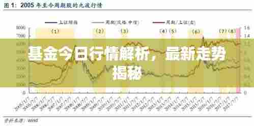 基金今日行情解析,最新走势揭秘