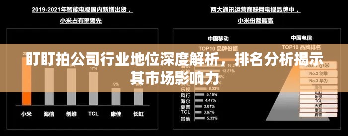 盯盯拍公司行业地位深度解析,排名分析揭示其市场影响力