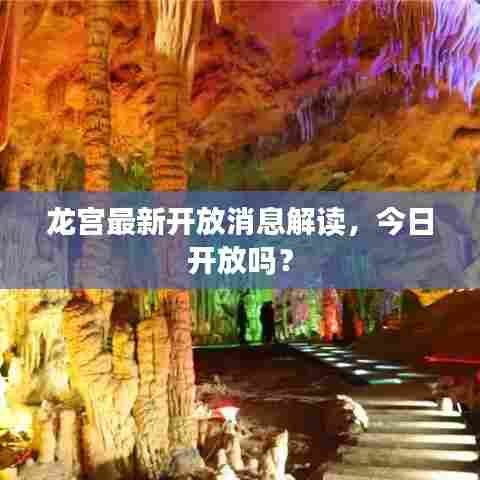 龙宫最新开放消息解读，今日开放吗？