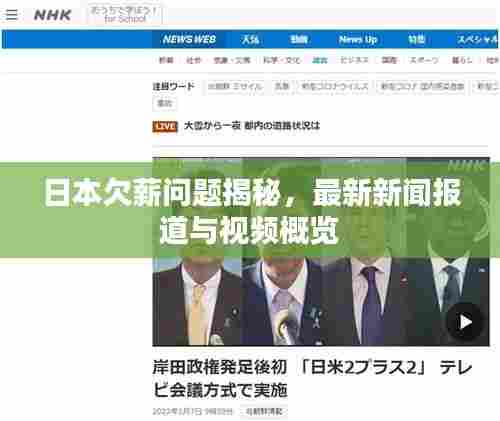 日本欠薪问题揭秘，最新新闻报道与视频概览