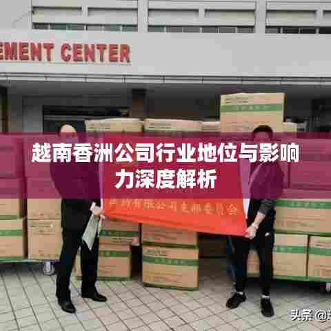 越南香洲公司行业地位与影响力深度解析