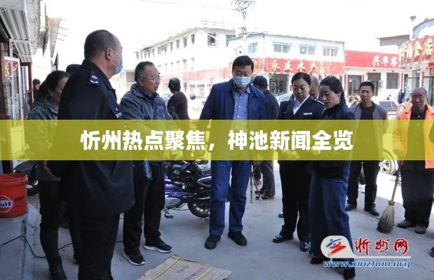 忻州热点聚焦，神池新闻全览