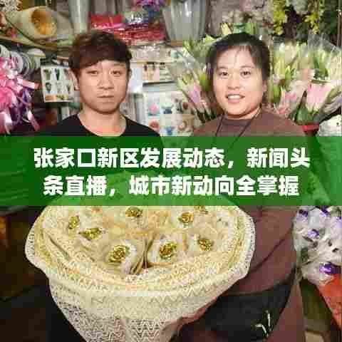 张家口新区发展动态,新闻头条直播,城市新动向全掌握