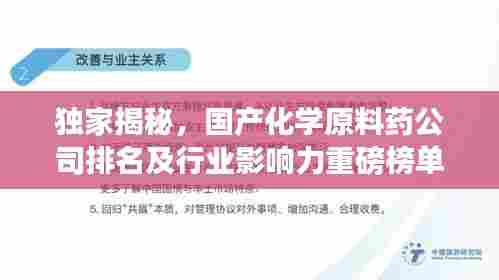 独家揭秘,国产化学原料药公司排名及行业影响力重磅榜单!