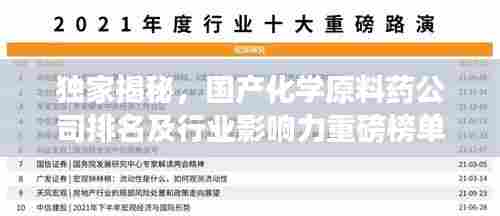 独家揭秘，国产化学原料药公司排名及行业影响力重磅榜单！