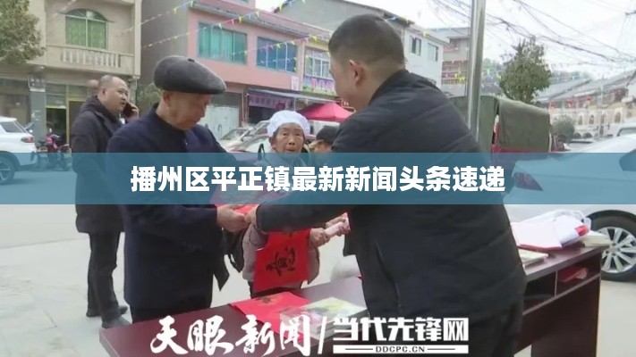 播州区平正镇最新新闻头条速递