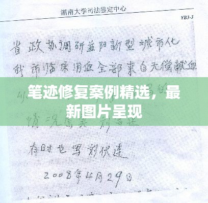 笔迹修复案例精选,最新图片呈现