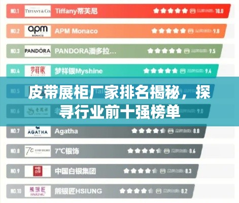 皮带展柜厂家排名揭秘,探寻行业前十强榜单