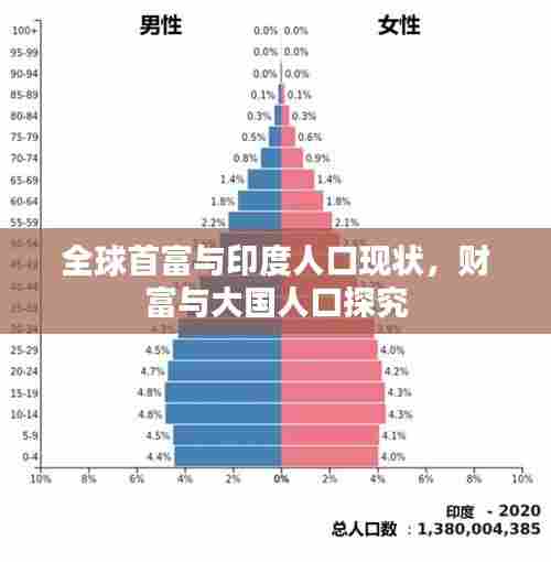 全球首富与印度人口现状,财富与大国人口探究
