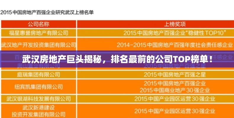 武汉房地产巨头揭秘,排名最前的公司TOP榜单!