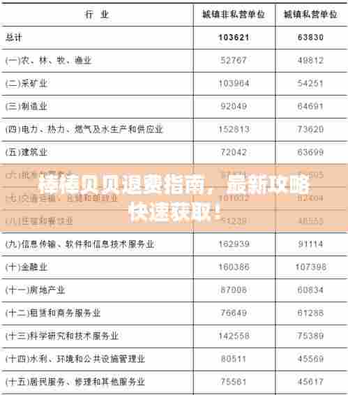 棒棒贝贝退费指南,最新攻略快速获取!