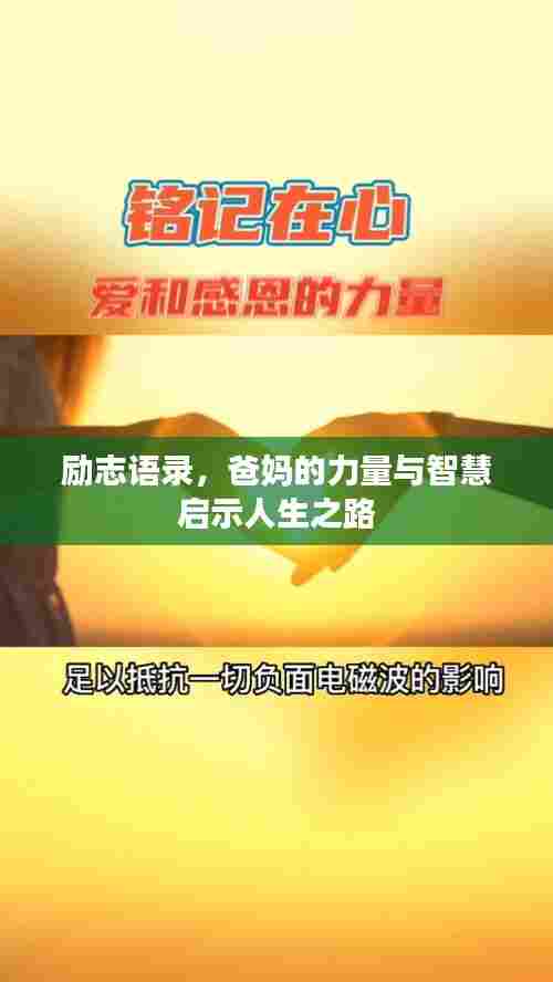 法贵必行 第3页