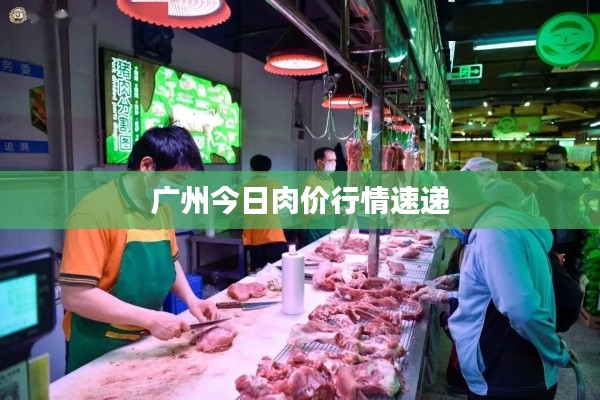广州今日肉价行情速递