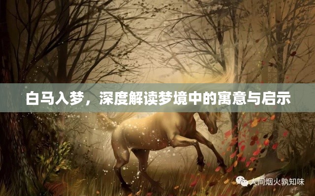 白马入梦,深度解读梦境中的寓意与启示
