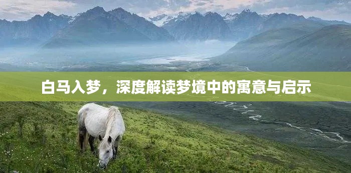 白马入梦,深度解读梦境中的寓意与启示