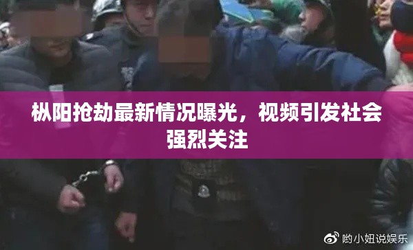 枞阳抢劫最新情况曝光,视频引发社会强烈关注